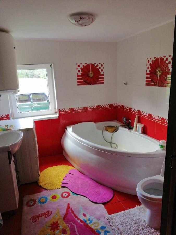 У Катерини Villa Dvozhets Luaran gambar