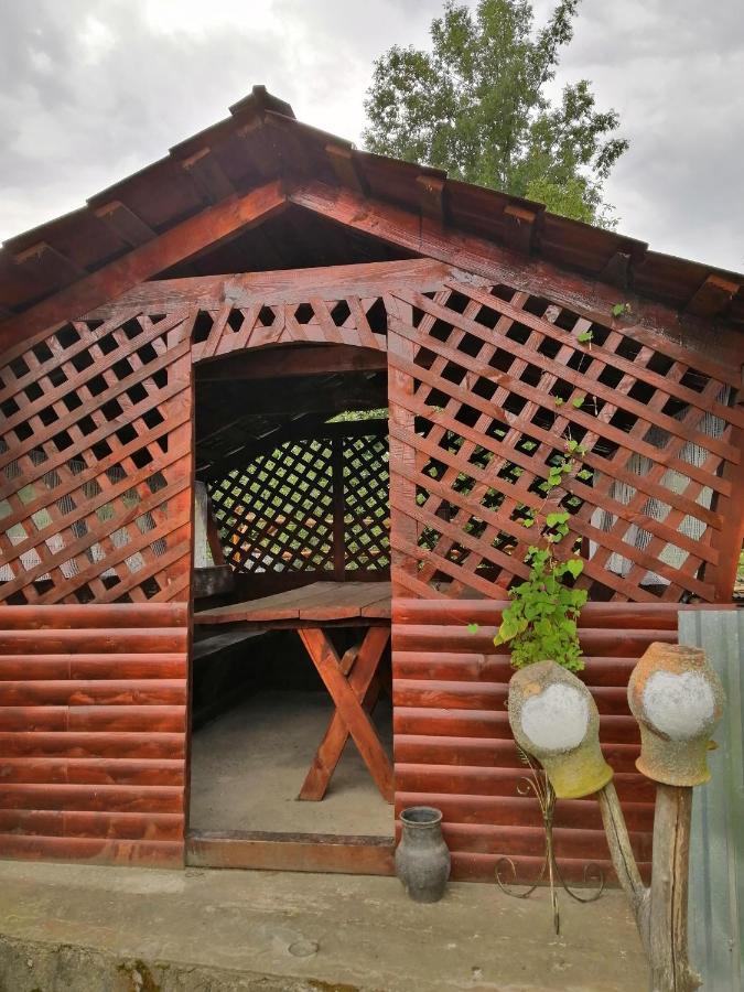 У Катерини Villa Dvozhets Luaran gambar